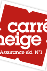 Logo Carré Neige